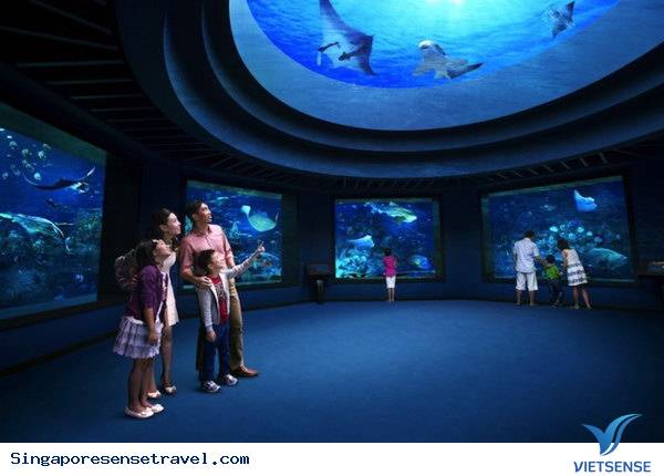 Adventure Cove Waterpark - Ảnh 3