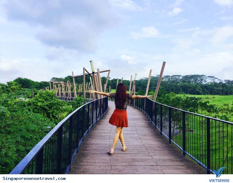 Công viên PUNGGOL WATERWAY - Ảnh 3 Công viên PUNGGOL WATERWAY - Ảnh 3