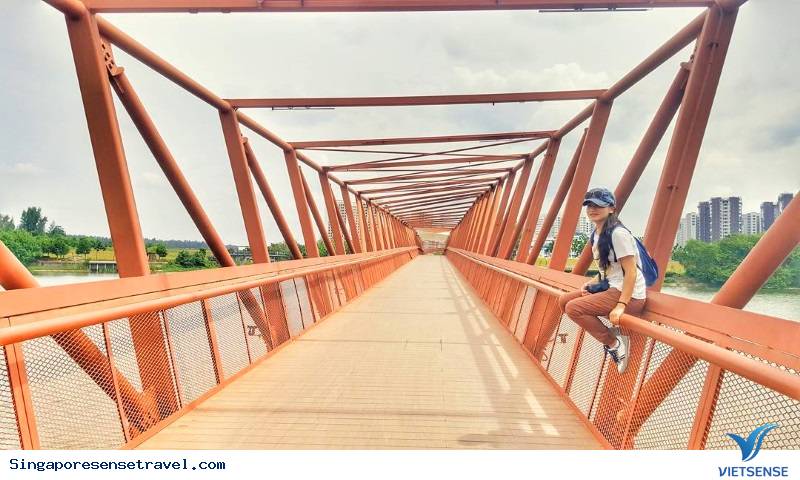 Công viên PUNGGOL WATERWAY - Ảnh 2 Công viên PUNGGOL WATERWAY - Ảnh 2