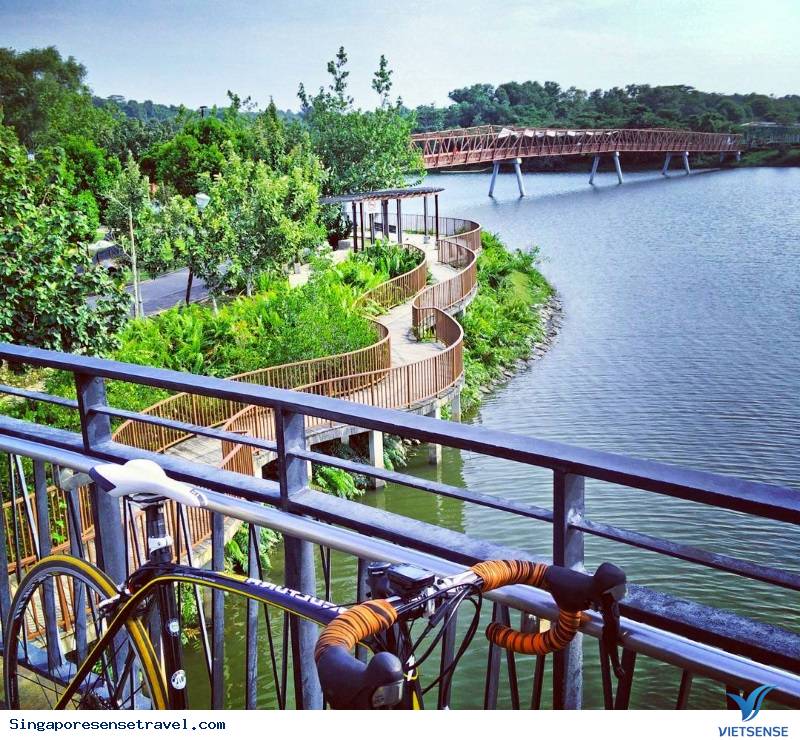 Công viên PUNGGOL WATERWAY - Ảnh 1 Công viên PUNGGOL WATERWAY - Ảnh 1