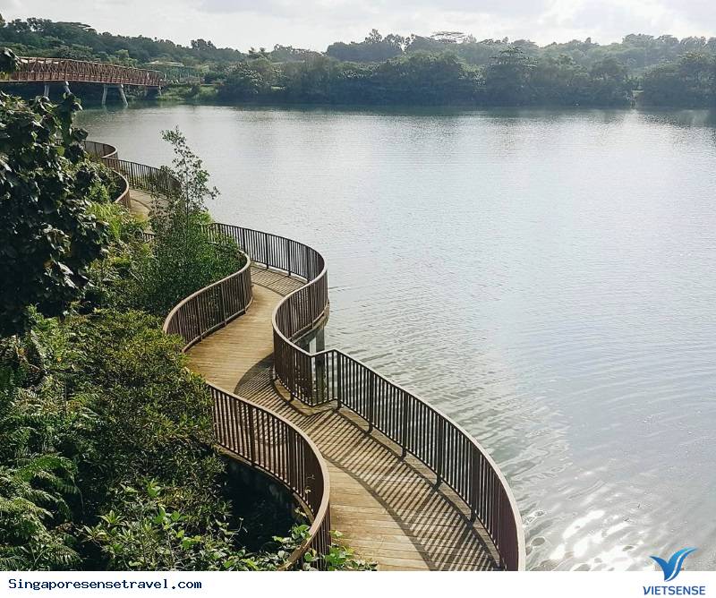 Công viên PUNGGOL WATERWAY - Ảnh 5 Công viên PUNGGOL WATERWAY - Ảnh 5