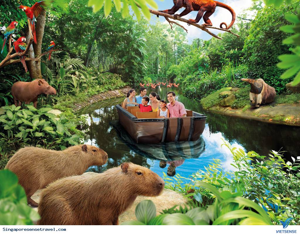 Công viên thủy cung River Safari - Ảnh 1 Công viên thủy cung River Safari - Ảnh 1