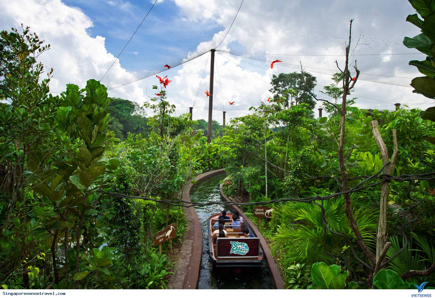 Công viên thủy cung River Safari - Ảnh 4 Công viên thủy cung River Safari - Ảnh 4