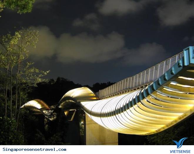 Đắm chìm đêm Singapore với 10 hoạt động hấp dẫn - Ảnh 3 Đắm chìm đêm Singapore với 10 hoạt động hấp dẫn - Ảnh 3