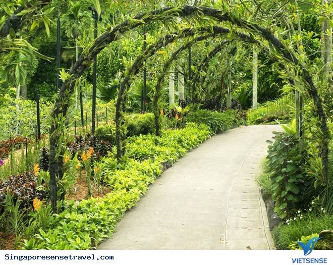 Trải Nghiệm Nhất Định Phải Thử Khi Đến Singapore