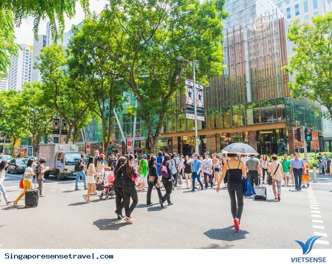 Trải Nghiệm Nhất Định Phải Thử Khi Đến Singapore