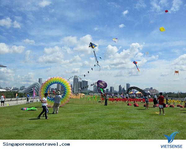 Hoạt động hành trình tại đậ nước Marina - Ảnh 2 Hoạt động hành trình tại đậ nước Marina - Ảnh 2