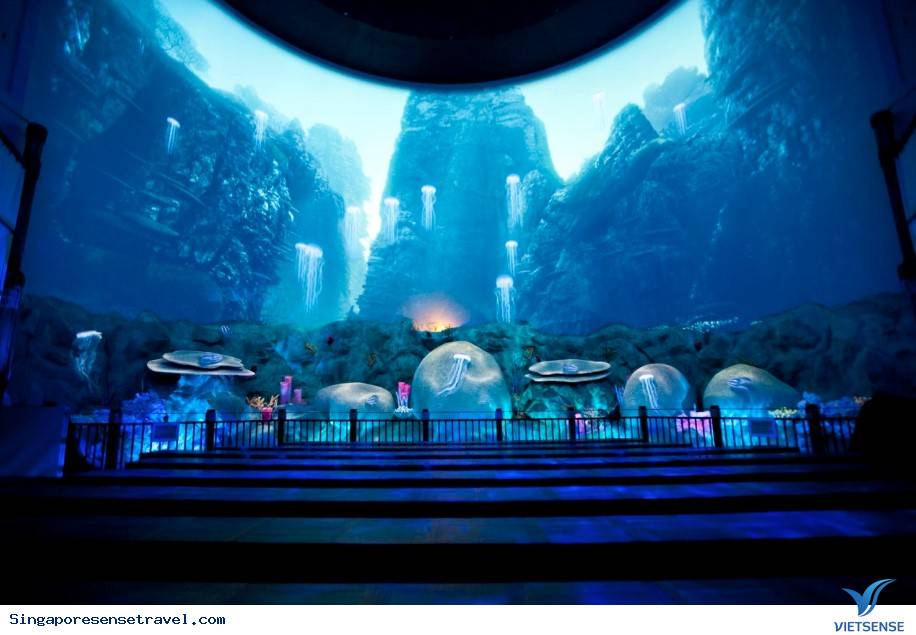 Đến Sentosa - Thả mình trong không gian của viện bảo tàng Hàng Hải - Ảnh 6 Đến Sentosa - Thả mình trong không gian của viện bảo tàng Hàng Hải - Ảnh 6