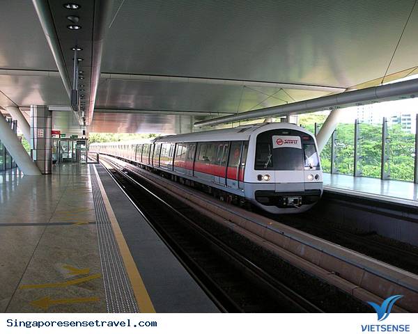 Đến Singapore sử dụng phương tiện công cộng chính gì để di chuyển? - Ảnh 1