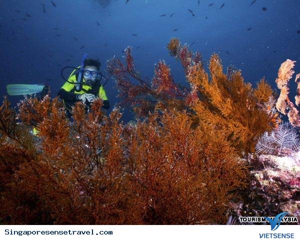 sanho3.jpg (259×194)