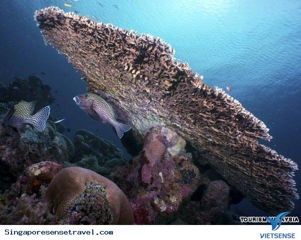 sanho4.jpg (260×194)