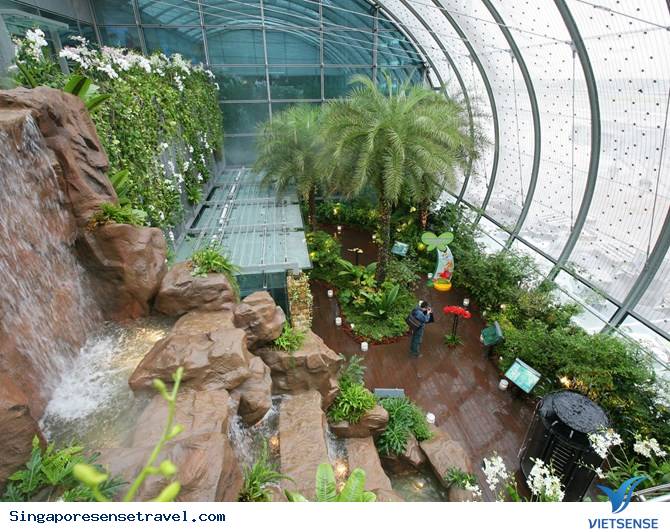 Điểm danh dịch vụ miễn phí tại sân bay Changi (phần 2) - Ảnh 1