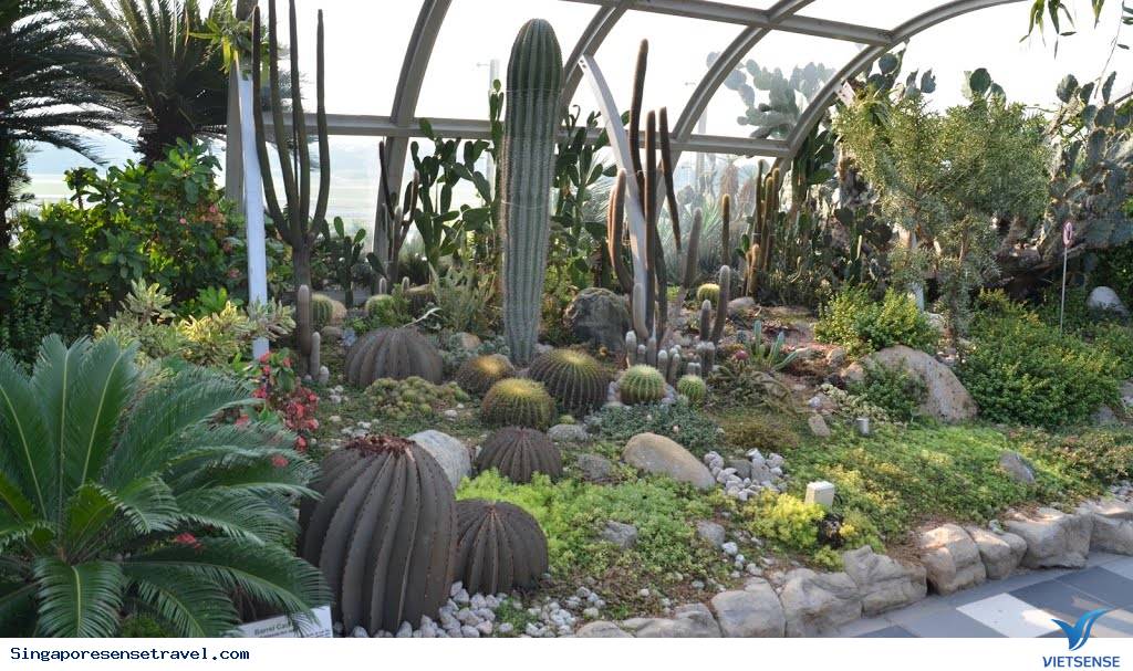 Điểm danh dịch vụ miễn phí tại sân bay Changi (phần 2) - Ảnh 2