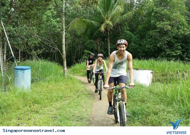 Điểm qua 10 trải nghiệm hấp dẫn bậc nhất khi đến Singapore - Ảnh 1 Điểm qua 10 trải nghiệm hấp dẫn bậc nhất khi tới
Singapore - Ảnh 1