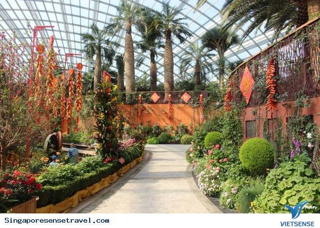 Độc đáo kỳ quan số 8 thế giới – Vườn bên vịnh Singapore - Ảnh 5 Độc đáo kỳ quan số 8 thế giới – Vườn bên vịnh Singapore - Ảnh 5