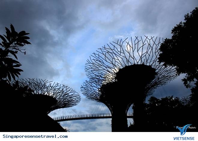 Độc đáo kỳ quan số 8 thế giới – Vườn bên vịnh Singapore - Ảnh 2 Độc đáo kỳ quan số 8 thế giới – Vườn bên vịnh Singapore - Ảnh 2