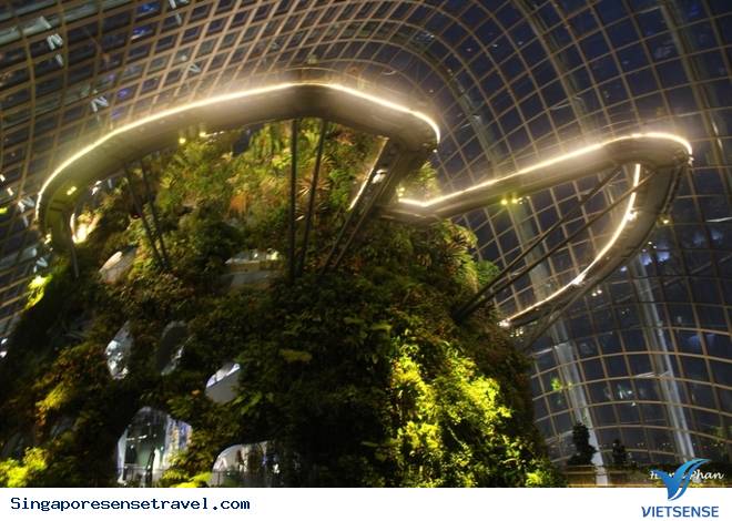 Độc đáo kỳ quan số 8 thế giới – Vườn bên vịnh Singapore - Ảnh 6 Độc đáo kỳ quan số 8 thế giới – Vườn bên vịnh Singapore - Ảnh 6