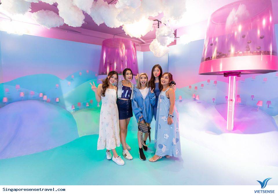 Enchanted Forest Enchanted Forest