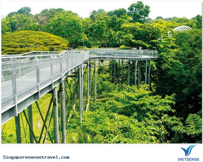 Điểm Đến Hấp Dẫn Dành Cho Các Cặp Đôi - Ảnh 3 Điểm Đến Hấp Dẫn Dành Cho Các Cặp Đôi - Ảnh 3