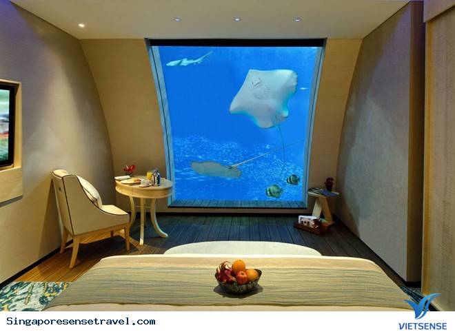 Điểm Đến Hấp Dẫn Dành Cho Các Cặp Đôi - Ảnh 1 Điểm Đến Hấp Dẫn Dành Cho Các Cặp Đôi - Ảnh 1