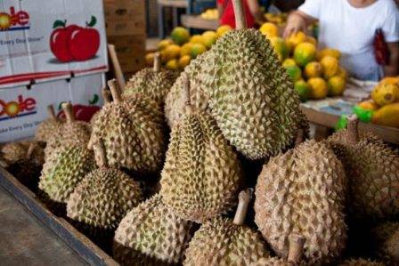 Penang Malaysia mùa lễ hội - Ảnh 2 Penang Malaysia mùa lễ hội - Ảnh 2