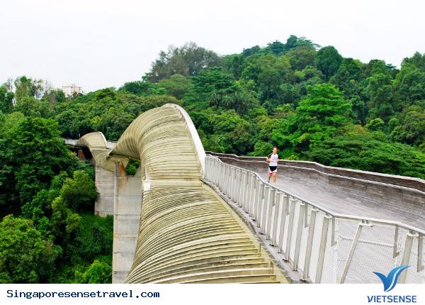 10 điểm tham quan miễn phí tuyệt nhất Singapore