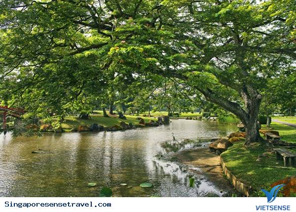 10 điểm tham quan miễn phí tuyệt nhất Singapore