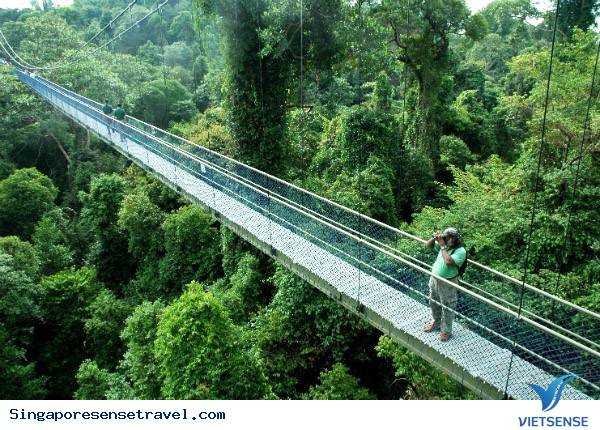 10 điểm tham quan miễn phí tuyệt nhất Singapore