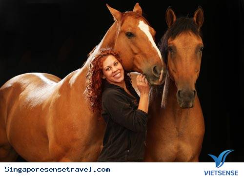 trải nghiệm Singapore khám phá những văn hóa độc đáo - Ảnh 1 hành trình Singapore khám phá những văn hóa độc đáo - Ảnh 1