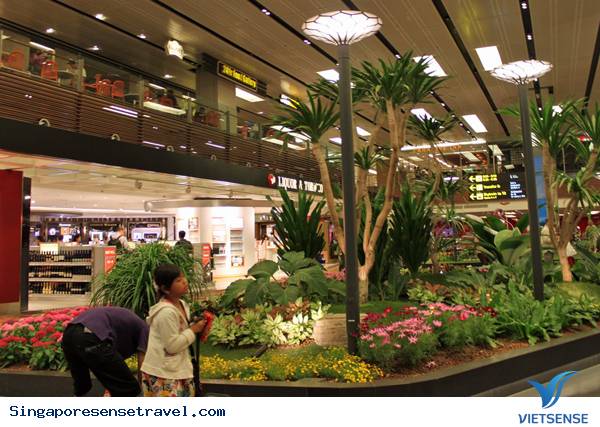 Nội thất sân bay Singapore - Ảnh 8 Nội thất sân bay Singapore - Ảnh 8