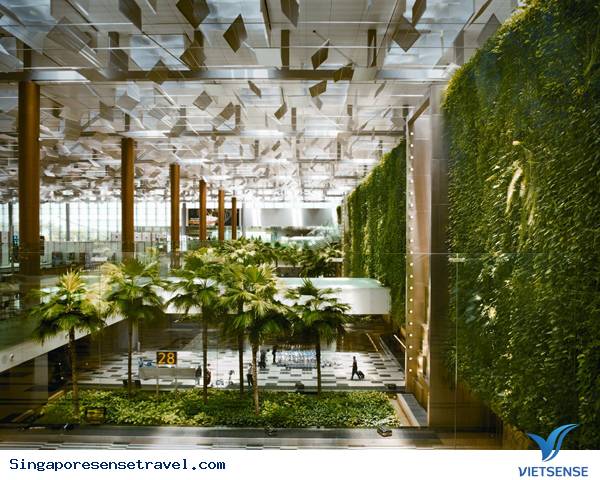 Nội thất sân bay Singapore - Ảnh 3 Nội thất sân bay Singapore - Ảnh 3