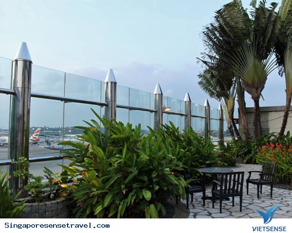 Nội thất sân bay Singapore - Ảnh 6 Nội thất sân bay Singapore - Ảnh 6