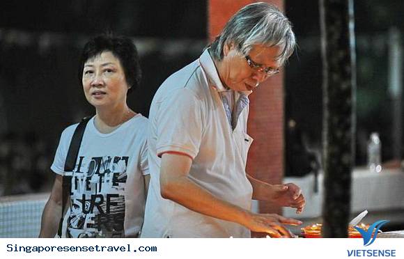 Phật Đản ở Singapore - Ảnh 3