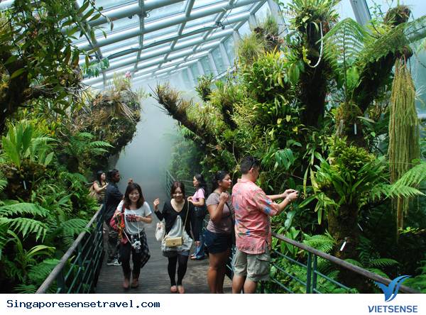 Những dịch vụ miễn phí ở Singapore - Ảnh 2