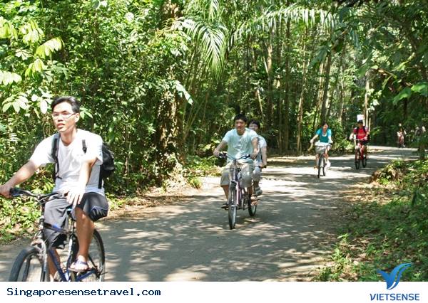 Những dịch vụ miễn phí ở Singapore - Ảnh 6