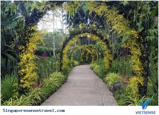 hành trình Singapore - Những điểm khám phá nổi tiếng ở singapore không thể bỏ qua - Ảnh 3 chương trình
Singapore - Những điểm thăm quan nổi tiếng ở singapore không thể bỏ qua - Ảnh 3