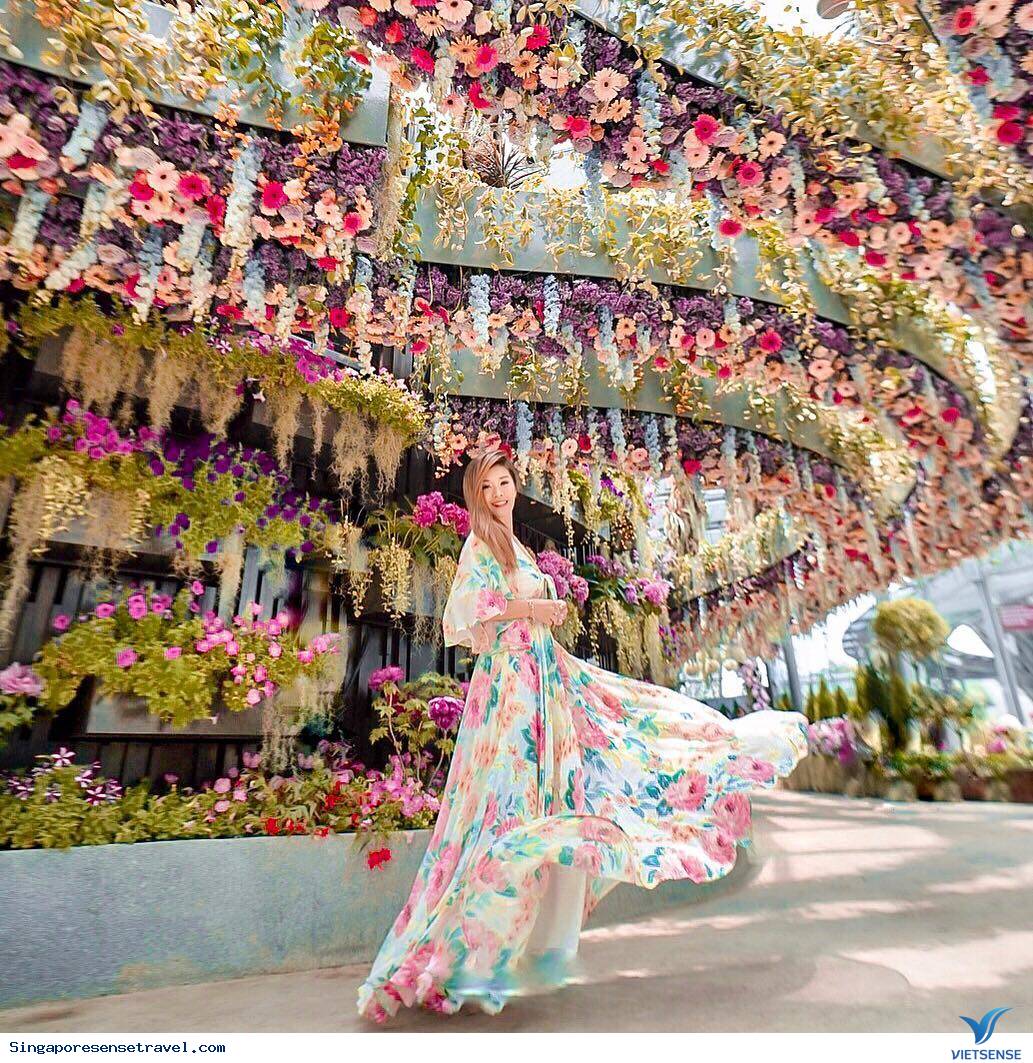 Floral Fantasy Floral Fantasy