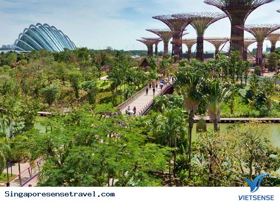 Gardens by the Bay - Ảnh 3 Gardens by the Bay - Ảnh 3