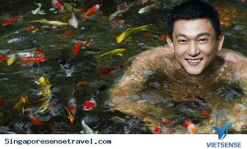 Ghé thăm vương quốc cá cảnh Singapore - Ảnh 1
