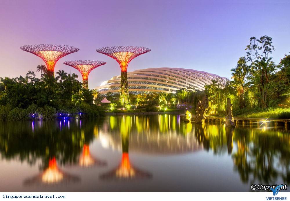 Gợi ý địa điểm chụp ảnh lý tưởng tại đất nước Singapore - Ảnh 5 Gợi ý địa điểm chụp ảnh lý tưởng tại đất nước Singapore - Ảnh 5