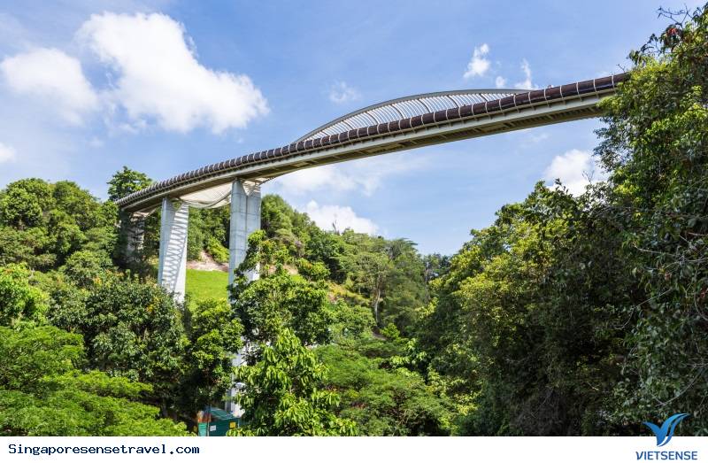 Hướng dẫn nhanh 5 phút về cách di chuyển tại Singapore - Ảnh 3