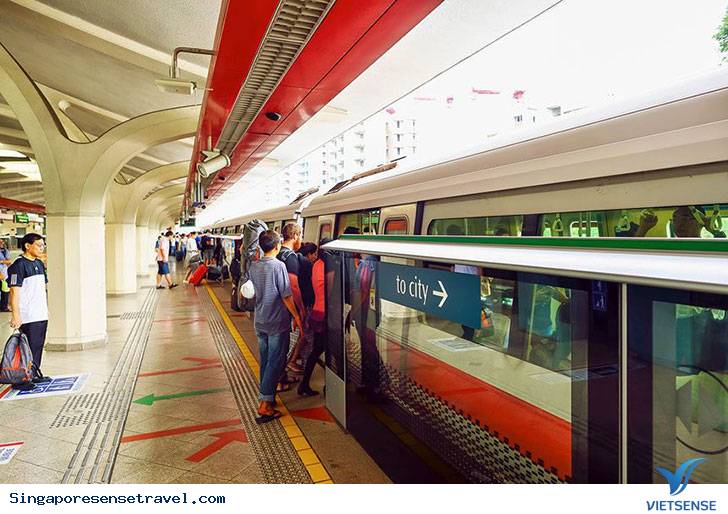 Kinh nghiệm Vivu Singapore với gia đình có con nhỏ - Ảnh 2