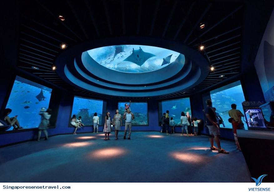 Sea Aquarium ở đâu? Sea Aquarium ở đâu?