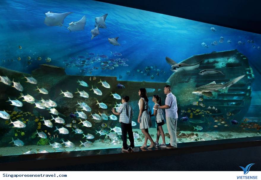 Những điều cần biết khi tới địa điểm này: Những điều cần biết khi tới địa điểm này: