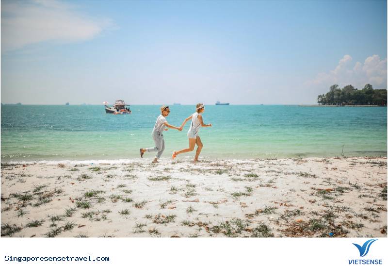 Lazarus – Hòn đảo đẩy hoang sơ tại Singapore - Ảnh 3 Lazarus – Hòn đảo đẩy hoang sơ tại Singapore - Ảnh 3