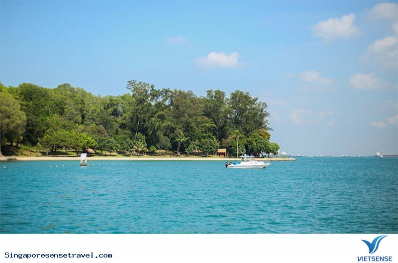 Lazarus – Hòn đảo đẩy hoang sơ tại Singapore - Ảnh 1 Lazarus – Hòn đảo đẩy hoang sơ tại Singapore - Ảnh 1