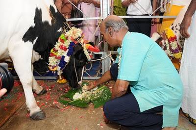 Lễ hội Pongal - Ảnh 3