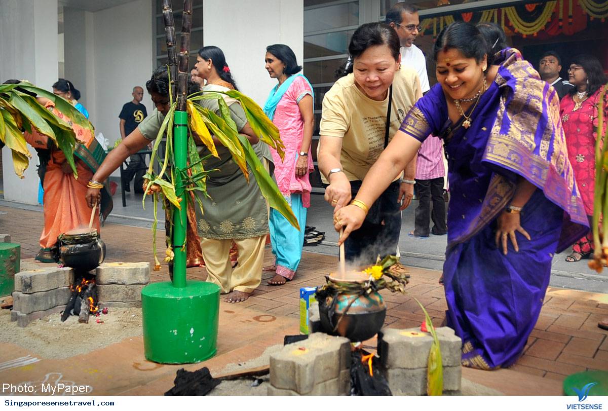 Lễ hội Pongal - Ảnh 2