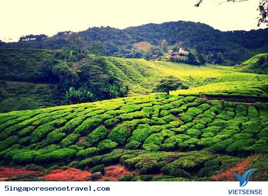 Lựa chọn trang phục phù hợp khi đến Malaysia - Ảnh 3