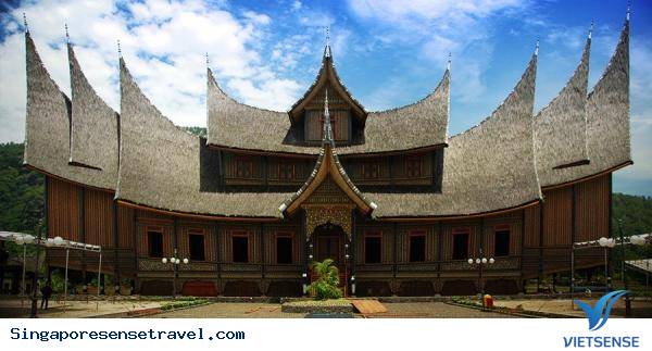 Lặn cùng rùa khổng lồ ở Pulau Perhentian, Terengganu: Lặn cùng rùa khổng lồ ở Pulau Perhentian, Terengganu: